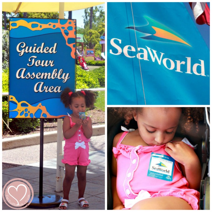 seaworld san diego, san diego, mixed family travels, travel with kids, biraical baby, black travel, seaworld must see
