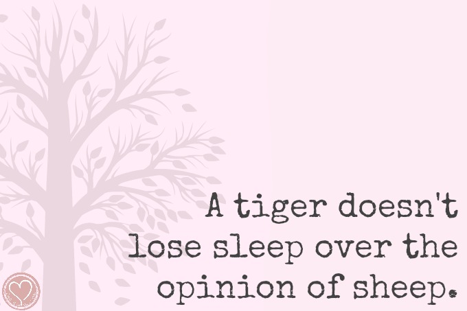 gratitude quote, a tiger doesnt lose sleep over the opinion of sheep