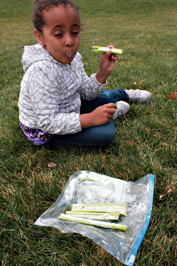 easy picnic menu for quality time with family