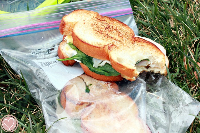 easy picnic menu for quality time with family