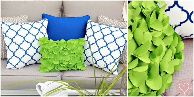 our-home-backyard-dsm-2