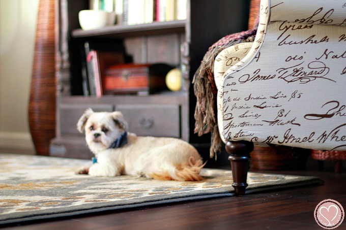 Global Design Family Room Ideas