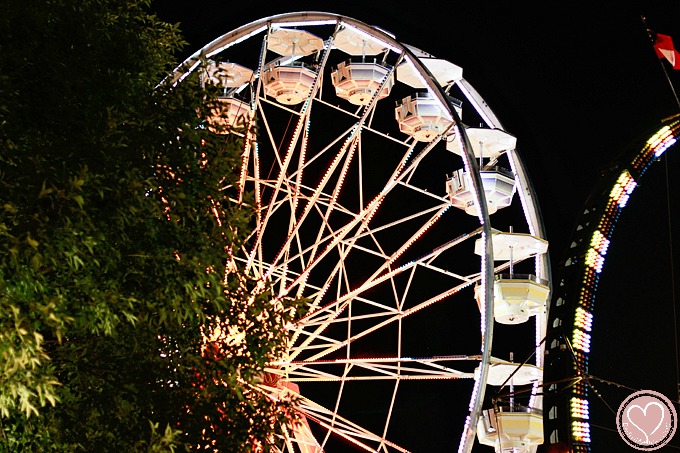 Iowa State Fair Family Travel