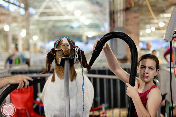 Iowa State Fair Family Travel