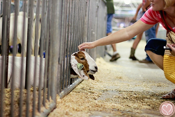 Iowa State Fair Family Travel