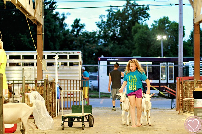 Iowa State Fair Family Travel