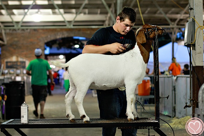 Iowa State Fair Family Travel