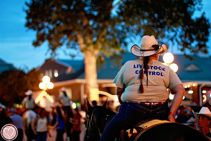 Iowa State Fair Family Travel