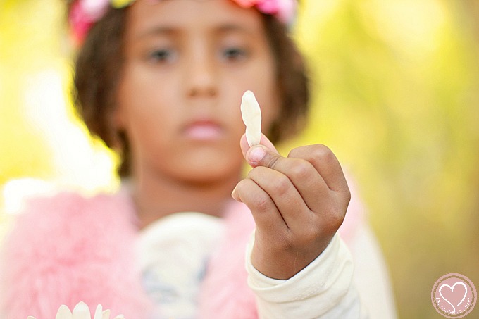 family-pictures-calico-basin-dsm-1