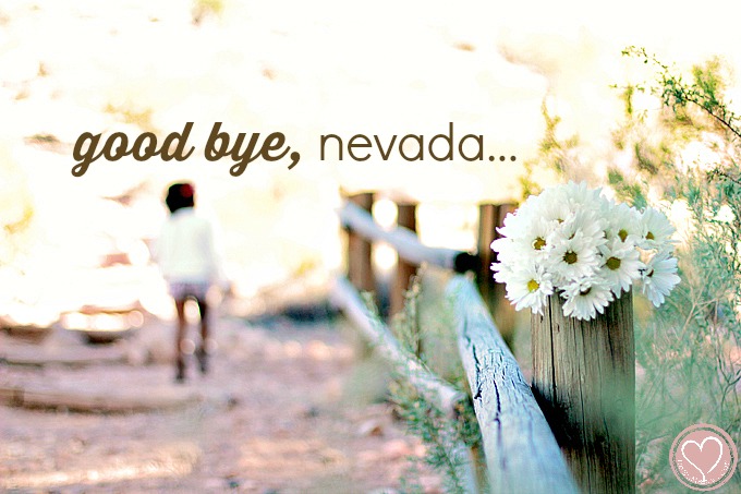 family-pictures-calico-basin-dsm-3