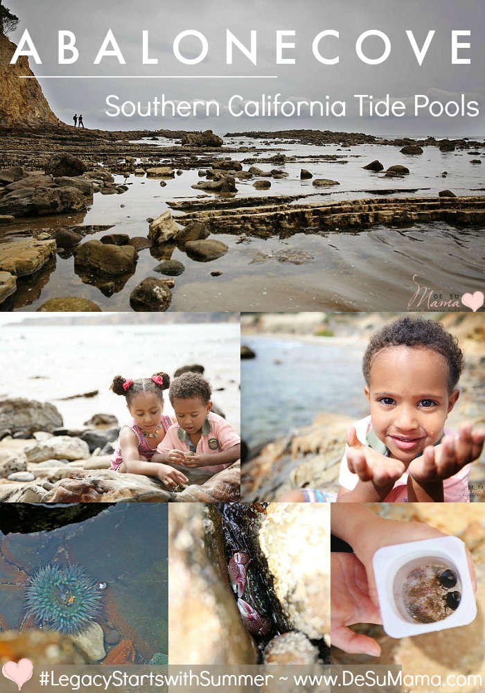 Abalone Cove Tide Pools: Southern California Travel With Kids