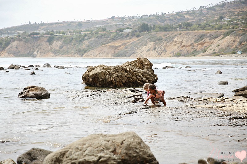 Abalone Cove Tide Pools: Southern California Travel with Kids