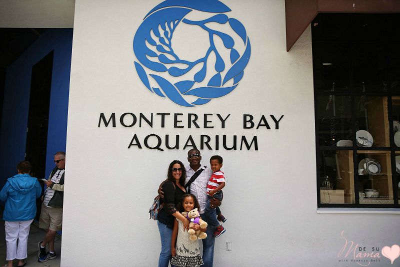 Monterey Bay Aquarium