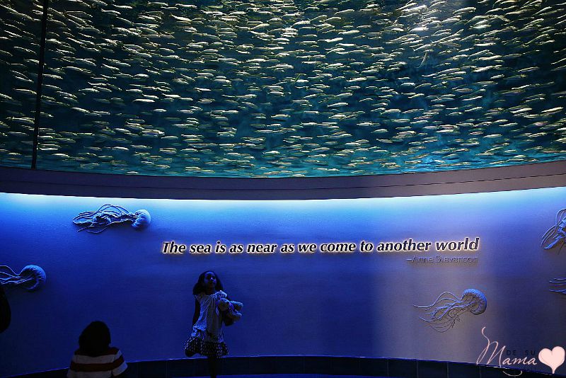 Monterey Bay Aquarium