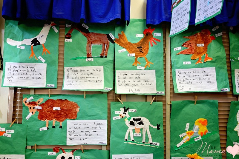 Inside a Kindergarten Dual Immersion Classroom: Our Spanish Bilingual Education Journey