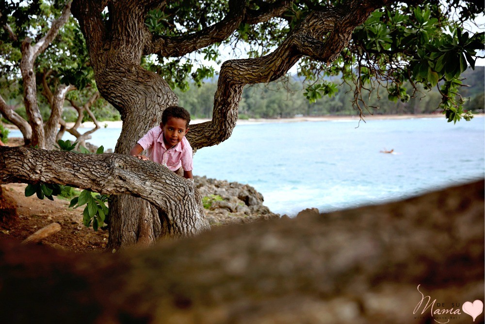 expensive-hawaiian-vacation-family-dsm-5