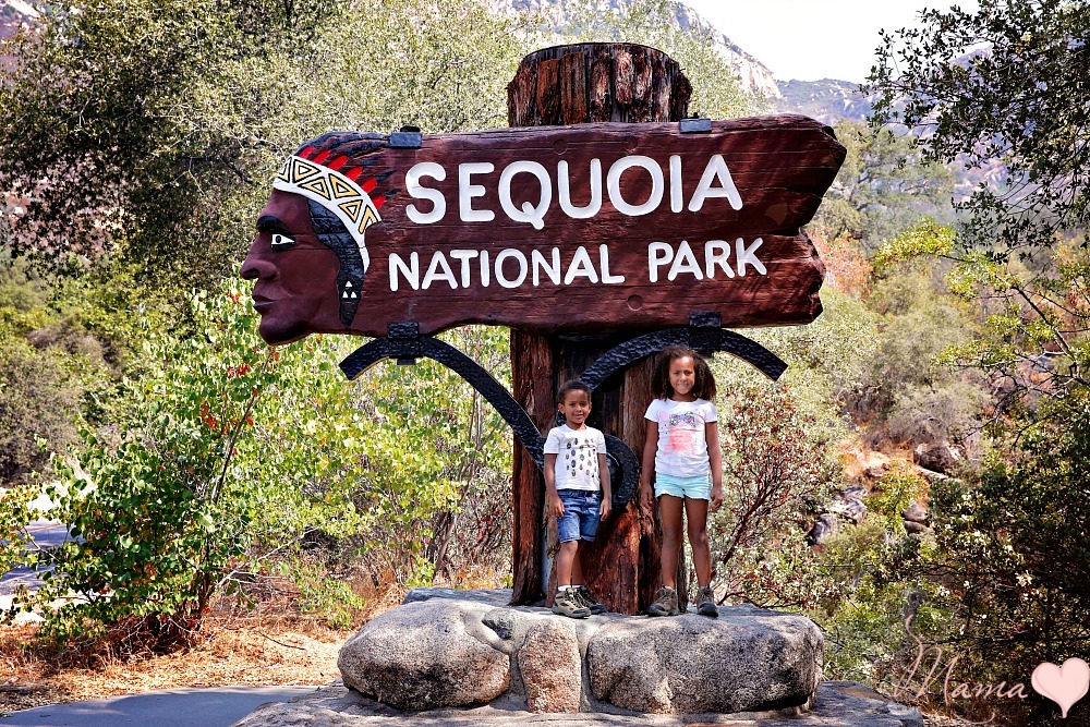 sequoia national park with kids, things to do in sequoia national park