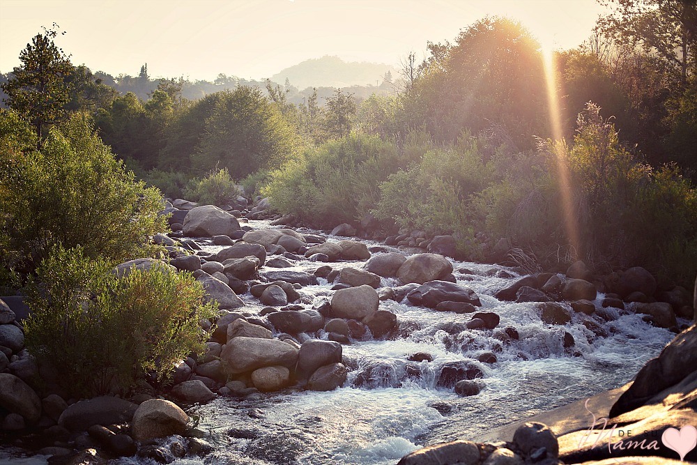 sequoia-national-park-with-kids-dsm-8