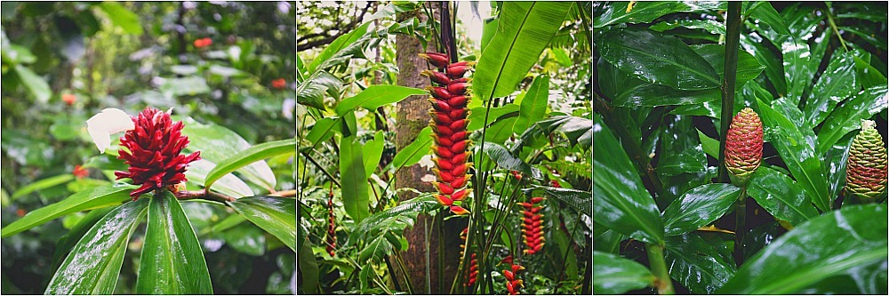 Waimea Valley, Hawaii: Latina Travel Blogger