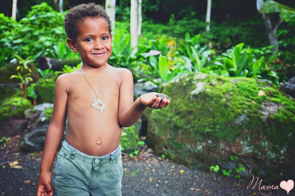 Waimea Valley, Hawaii: Latina Travel Blogger