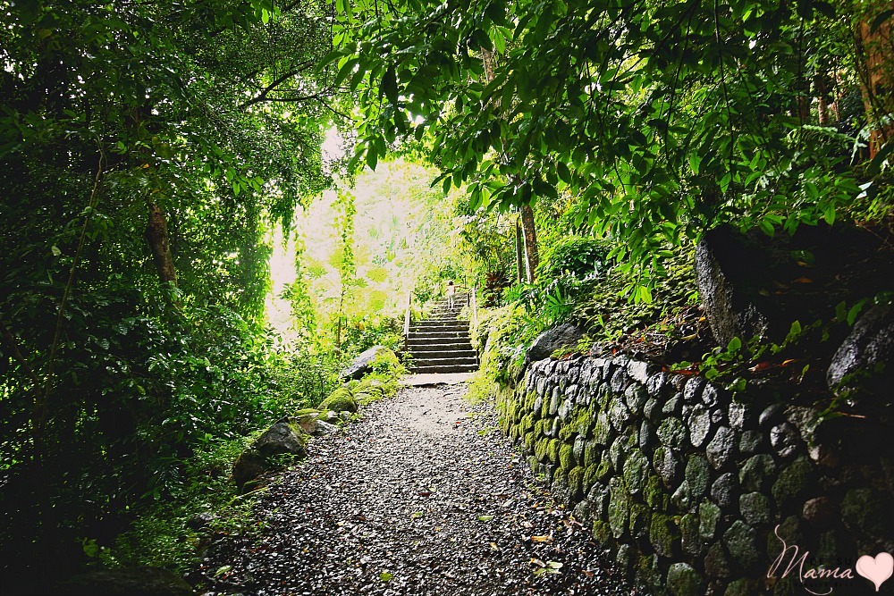 Waimea Valley, Hawaii: Latina Travel Blogger