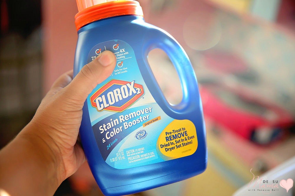 clorox-blogger-dsm-3