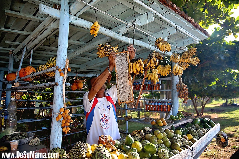 Traditional Cuban Culture: Fruit Stands En Route to Trinidad, Cuba
