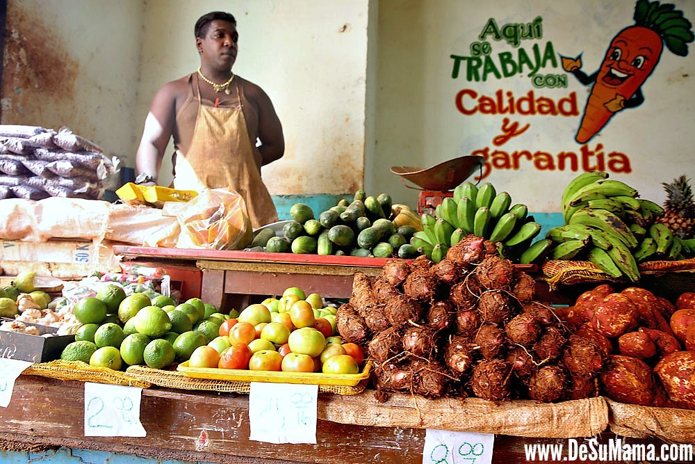 Traditional Cuban Food Culture: Grocery Store in Old Havana