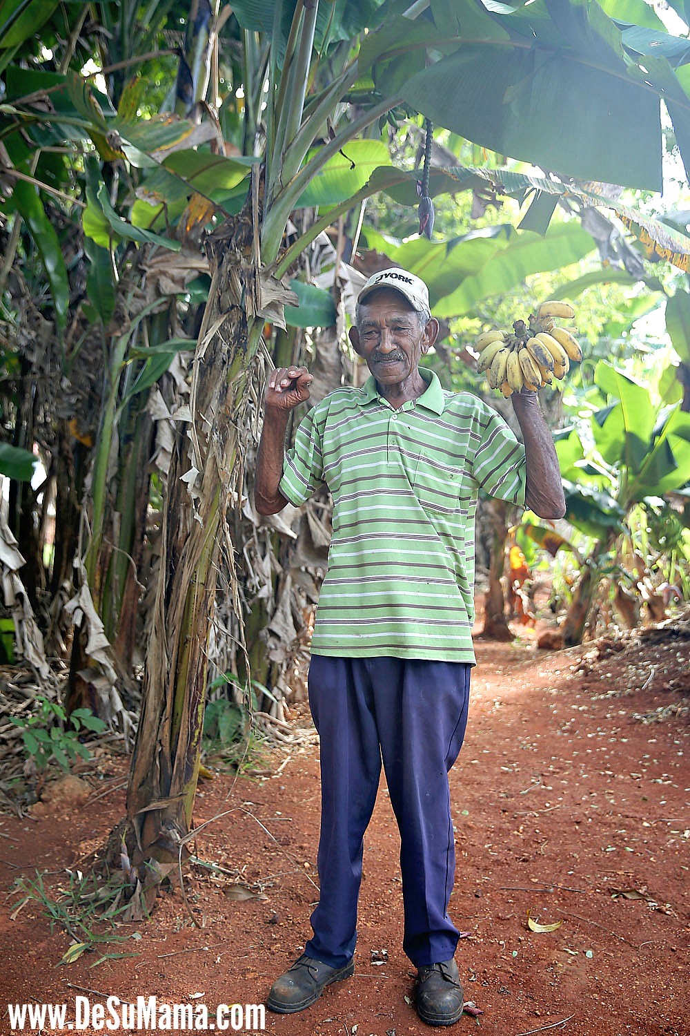 Traditional Cuban Culture: Fruit Stands En Route to Trinidad, Cuba