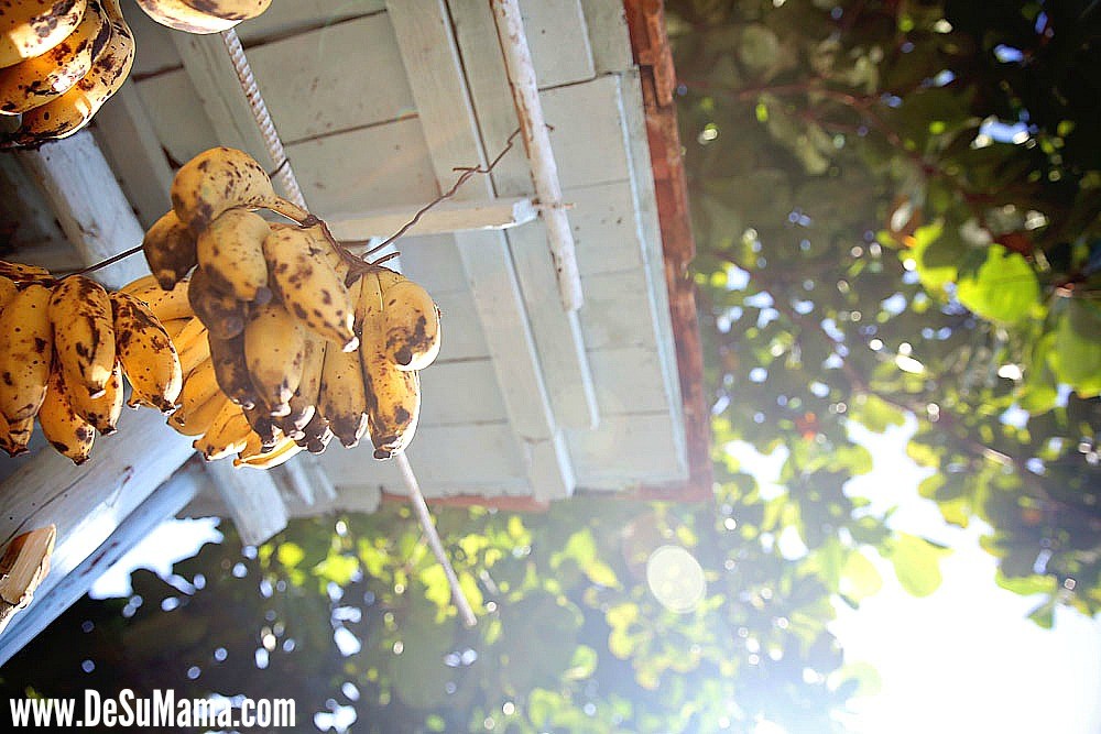 Traditional Cuban Culture: Fruit Stands En Route to Trinidad, Cuba