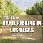 best apple picking in las vegas at gilcrease orchard