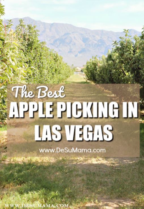 best apple picking in las vegas at gilcrease orchard