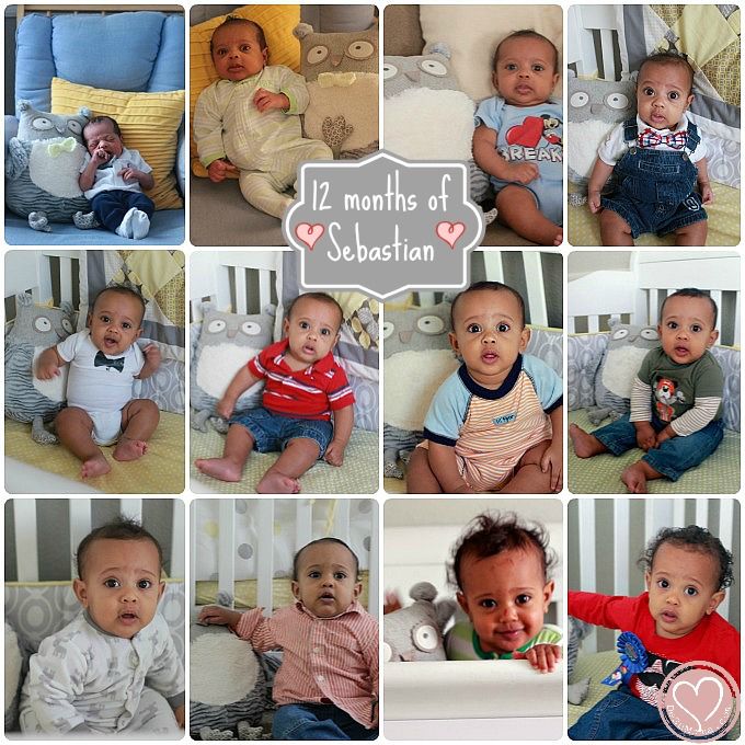 baby boy turns 1, monthly baby pictures
