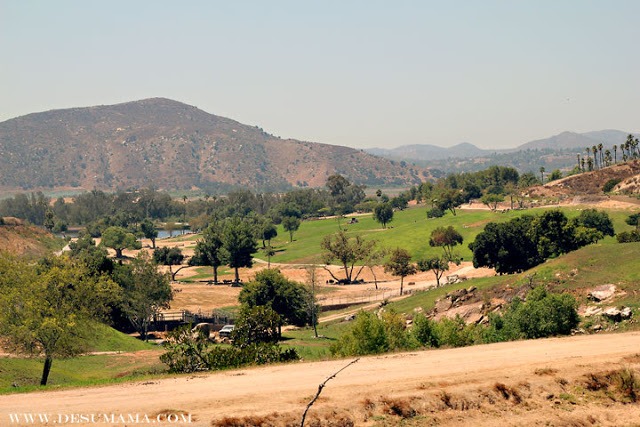 safari park san diego, wild animal park san diego