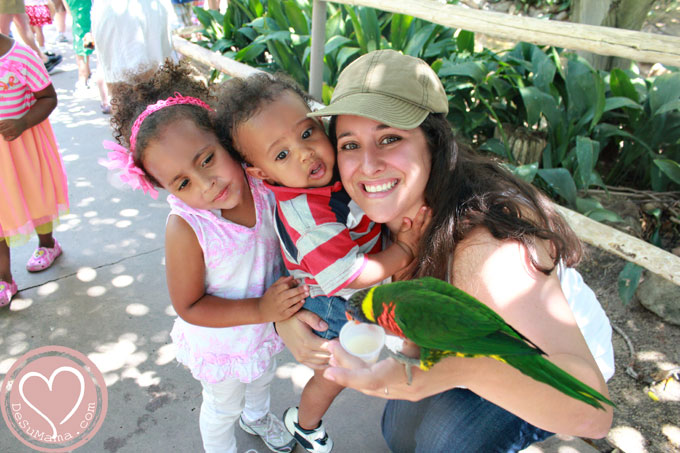 safari park mothers day