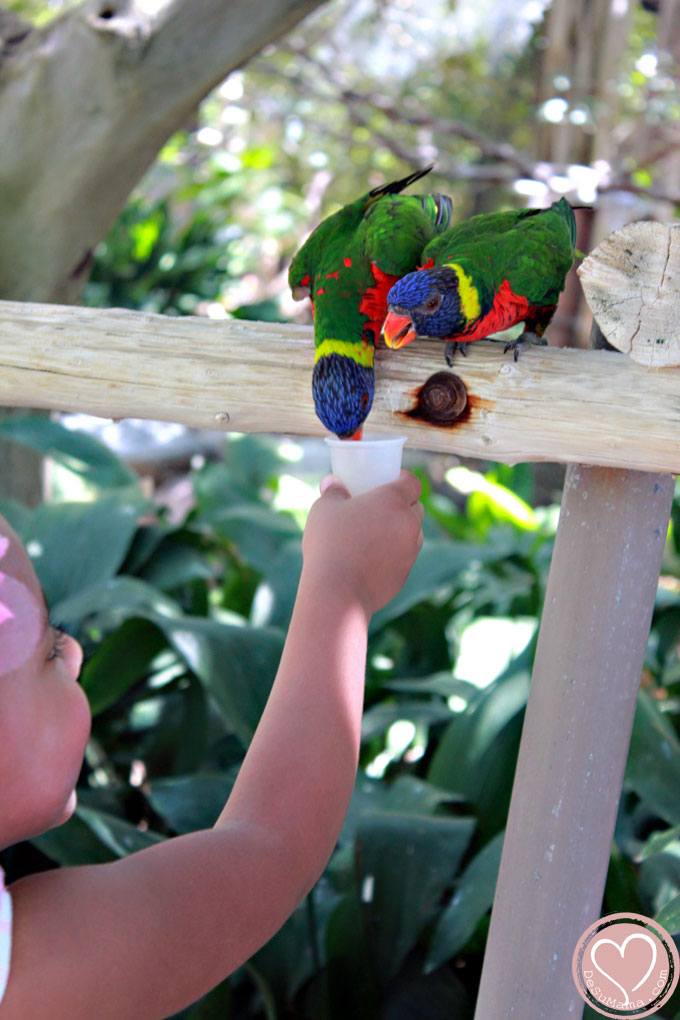 black girl feeding birds