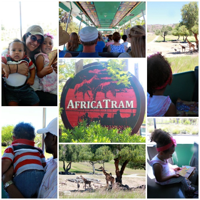 free african tram at san diego safari park
