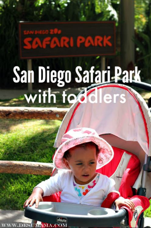 safari park for toddlers