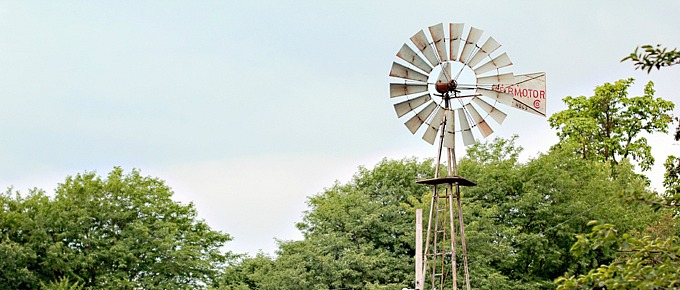 Iowa State Fair Family Travel