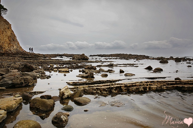 Abalone Cove Tide Pools: Southern California Travel with Kids