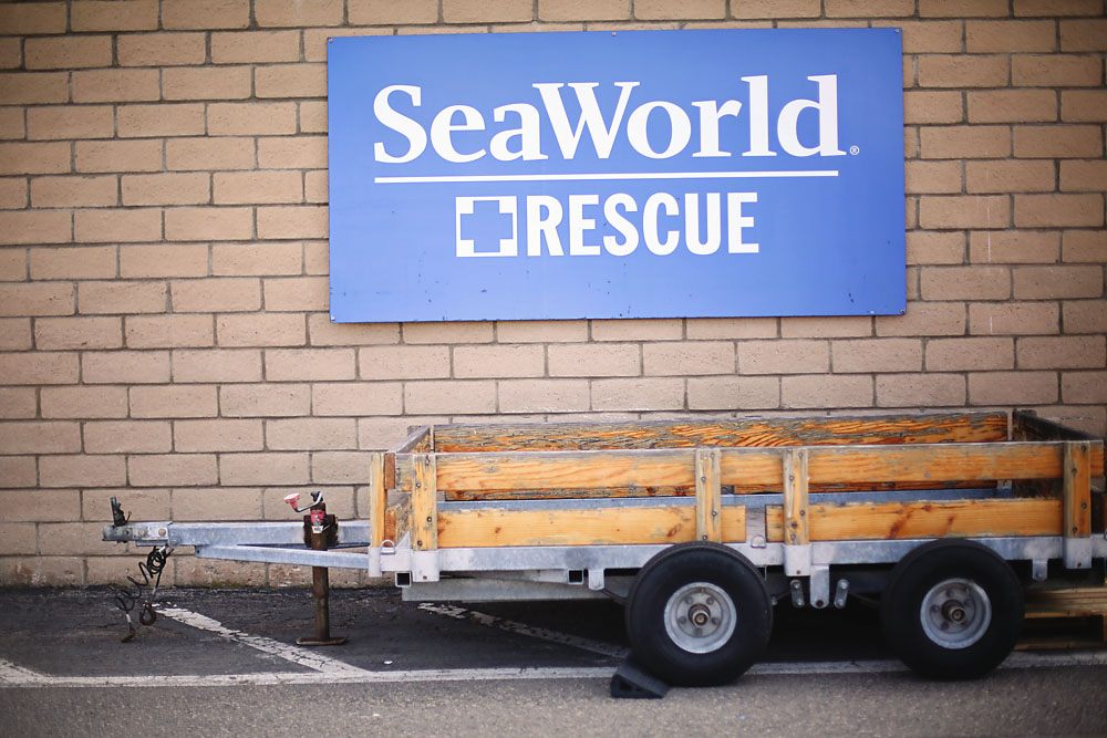 SeaWorld Rescue and positive things about SeaWorld