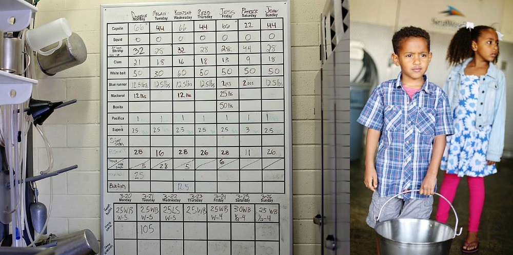 Reasons to Support SeaWorld