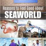 reasons to feel good about seaworld
