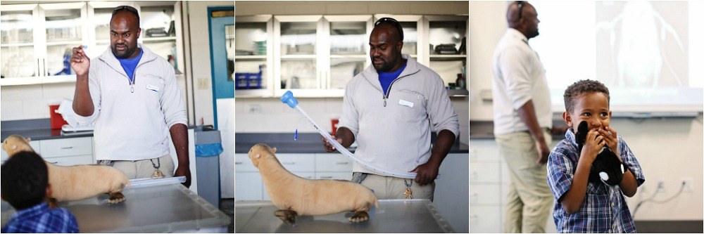 reasons why seaworld is good