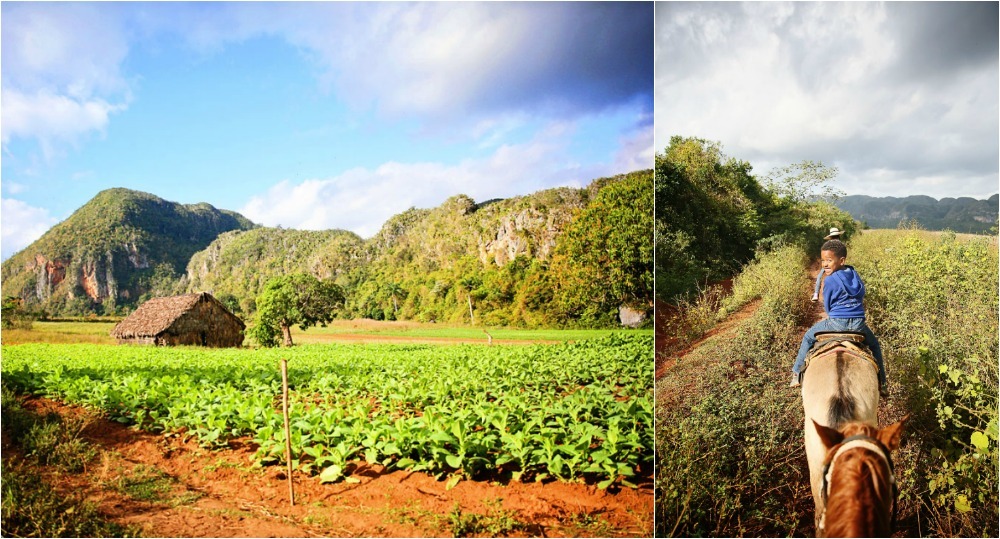 vinales, cuba with kids, family travel adventure