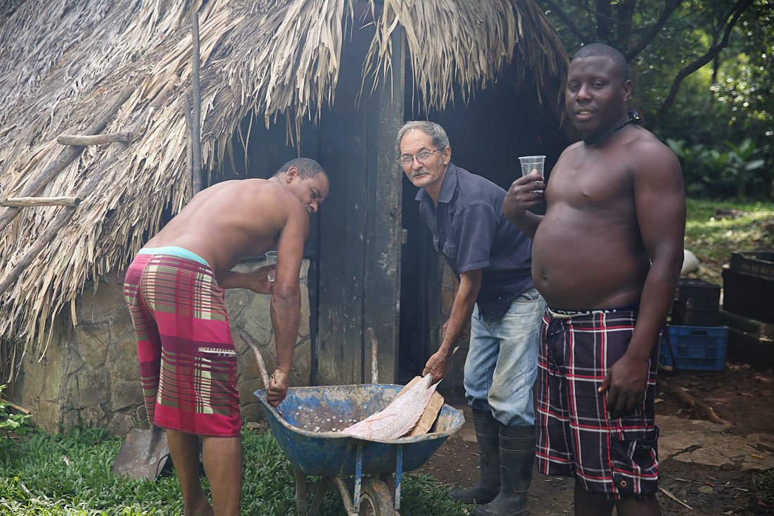 show me pictures of cuba