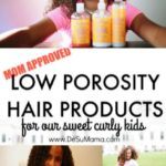 best low porosity hair products 2018