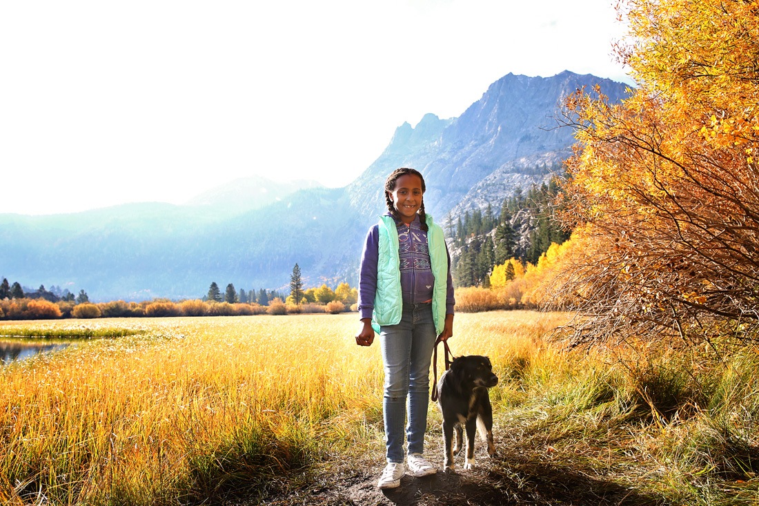 places to visit in the fall for eastern sierra fall colors, Mammoth Lake fall color