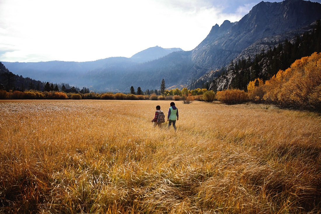 fall foliage california in mammoth lakes