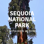 sequoia national park with kids